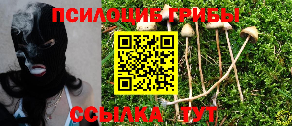 Псилоцибиновые грибы Cubensis  Вход с VPN  Отрадный 